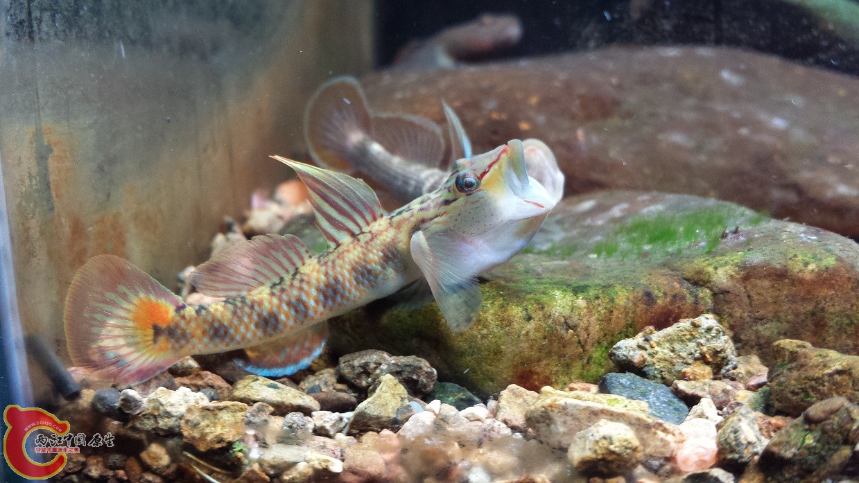 20140916_115806.jpg