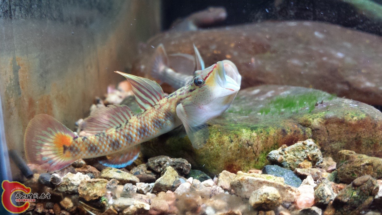 20140916_115807.jpg
