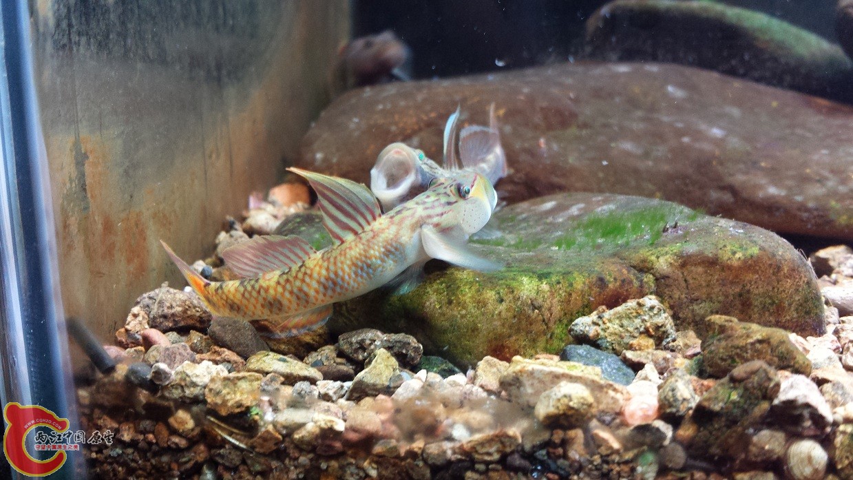 20140916_115812.jpg