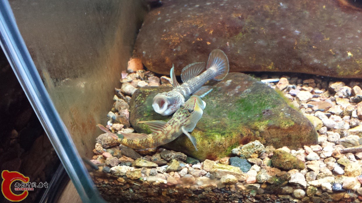 20140916_115825.jpg