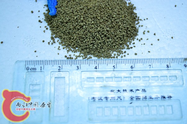 DSC_0007 副本.jpg