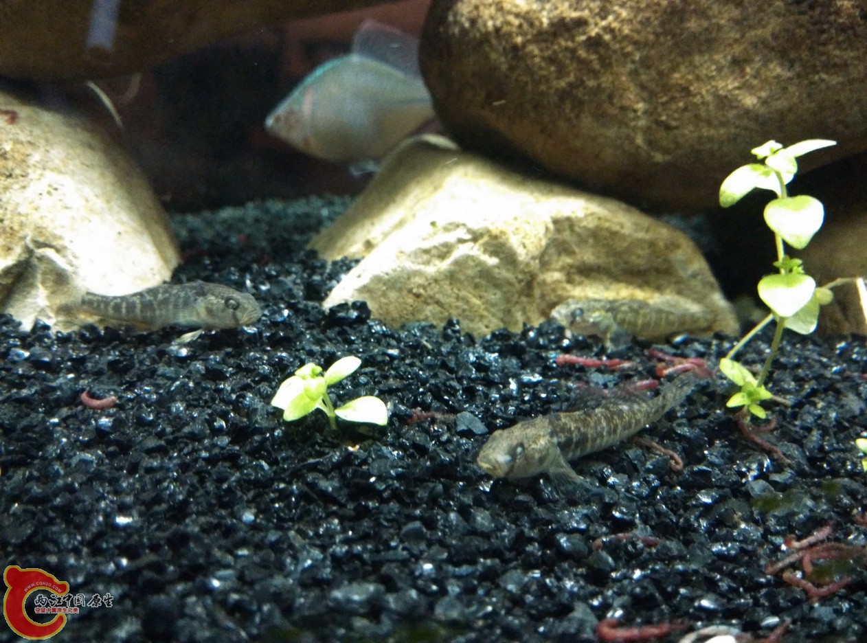 IMG_20160117_213821_调整大小.jpg