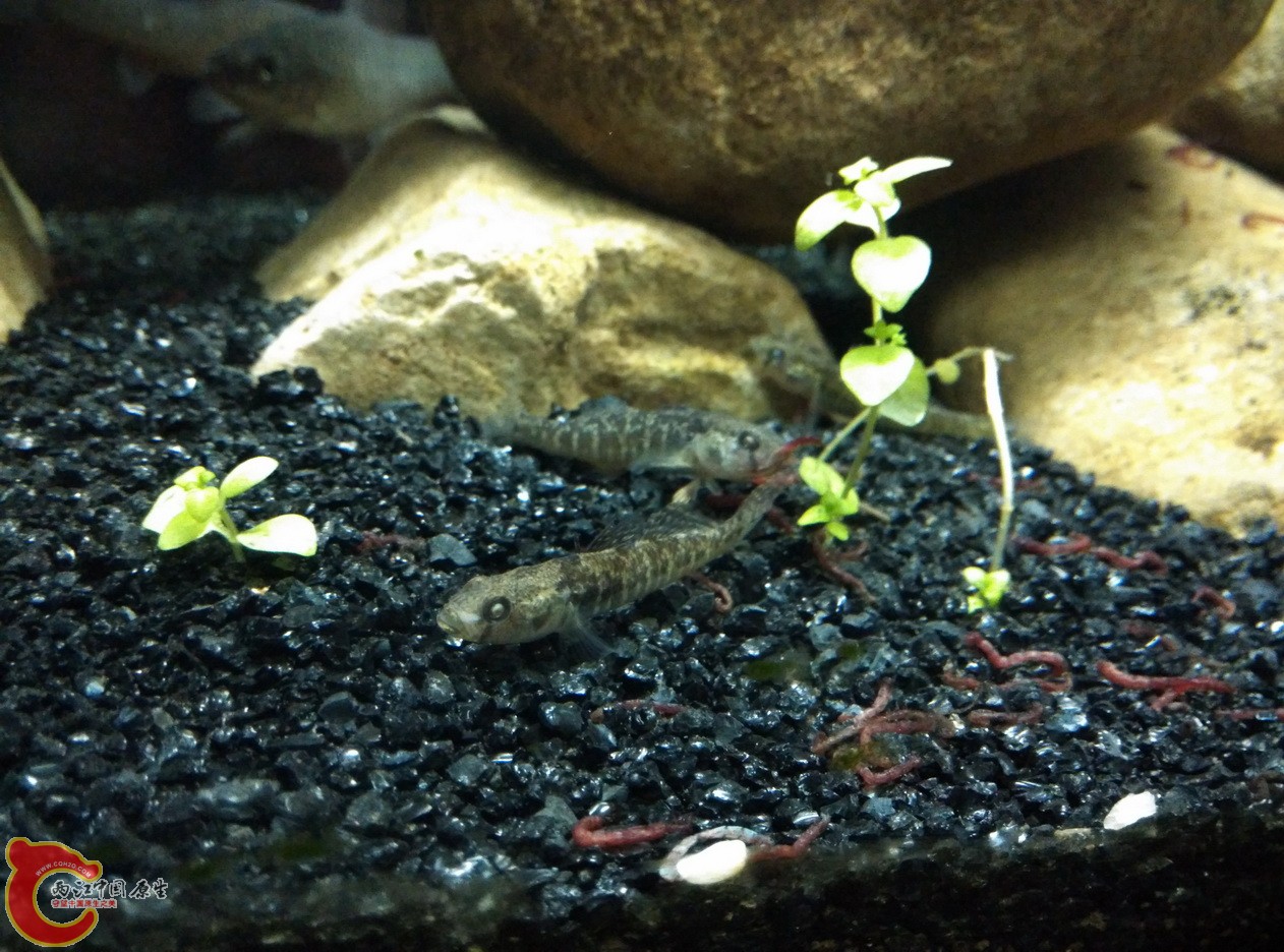 IMG_20160117_213908_调整大小.jpg