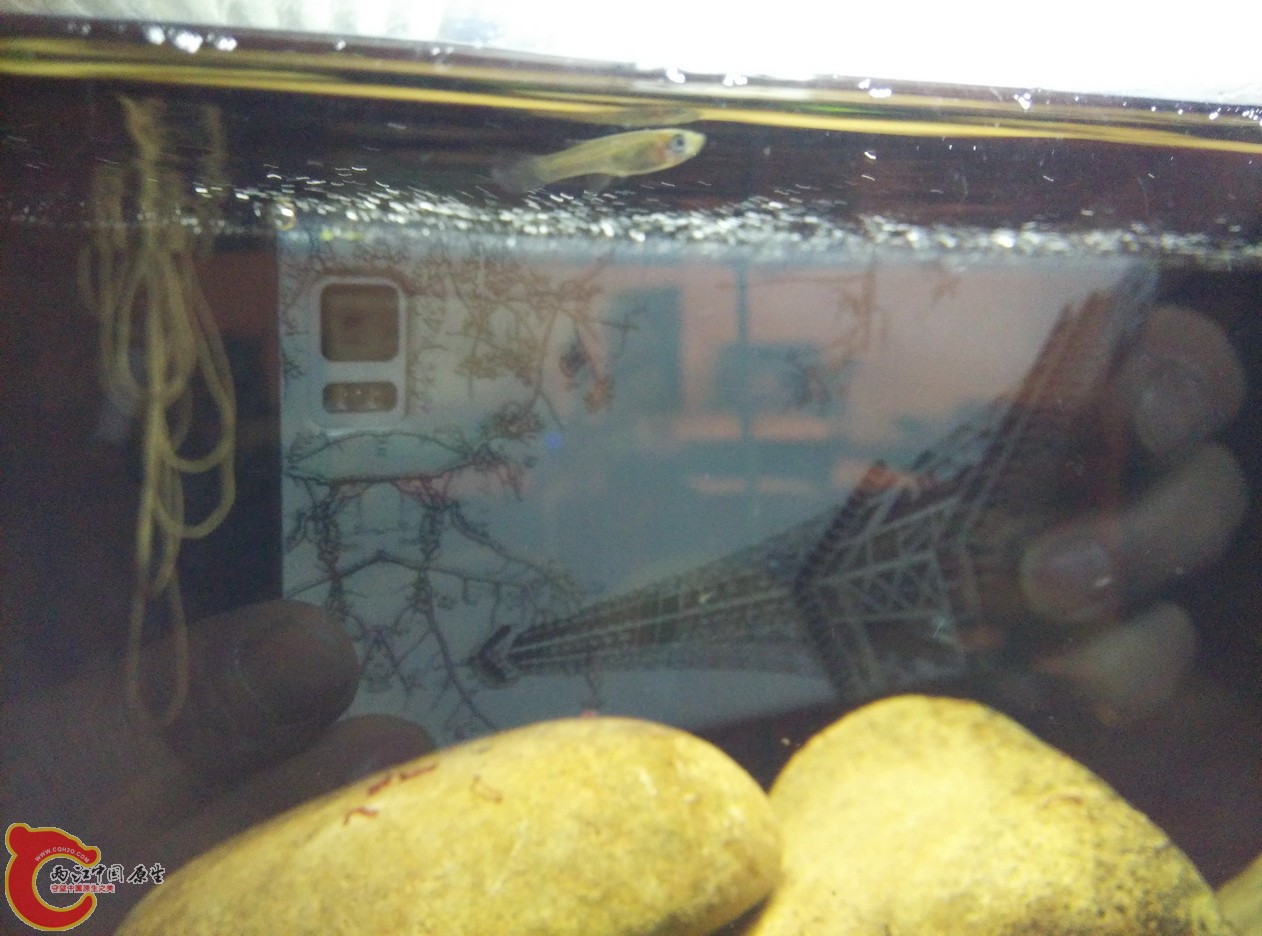 IMG_20160117_214021_调整大小.jpg