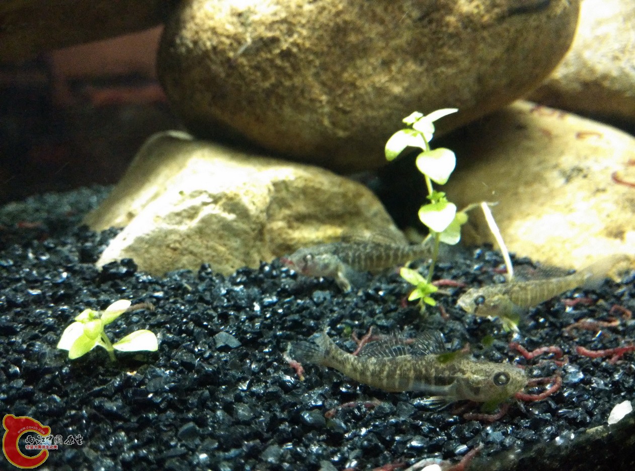 IMG_20160117_214538_调整大小.jpg