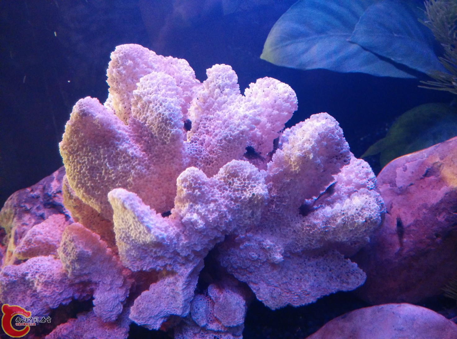 IMG_20160130_191219_调整大小.jpg