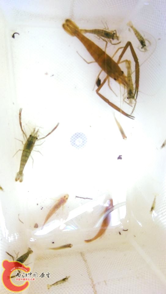 10分鐘的收穫
