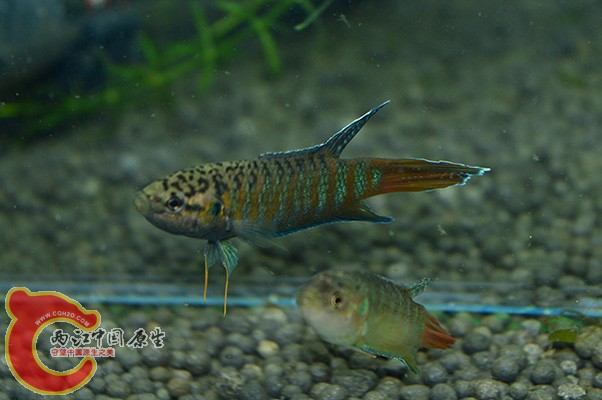 DSC_0020 副本.jpg