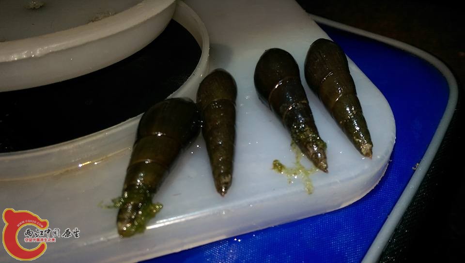 錐蜷