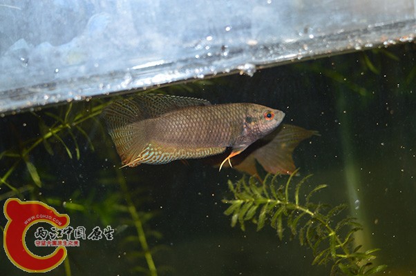 DSC_0049.JPG