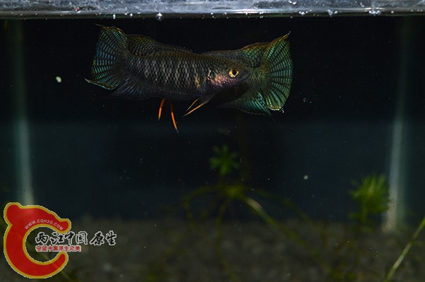DSC_0013 副本.jpg