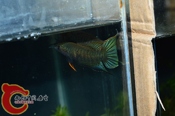 DSC_0028 副本.jpg