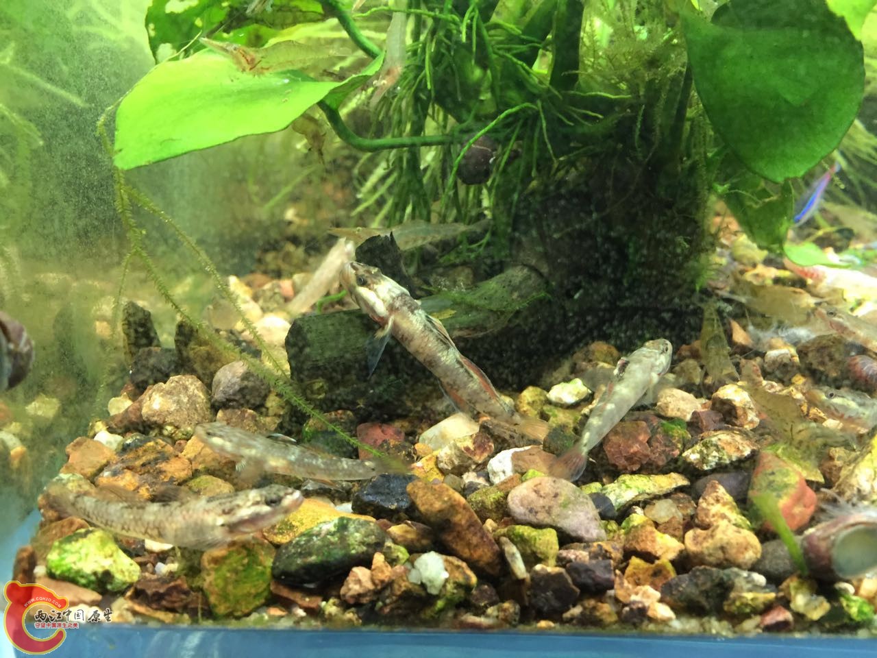 在探索新家