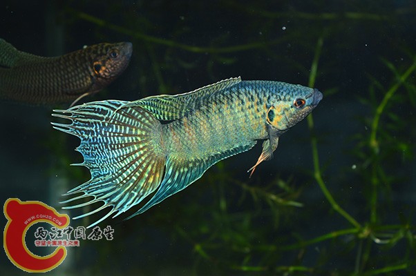 DSC_0029.JPG