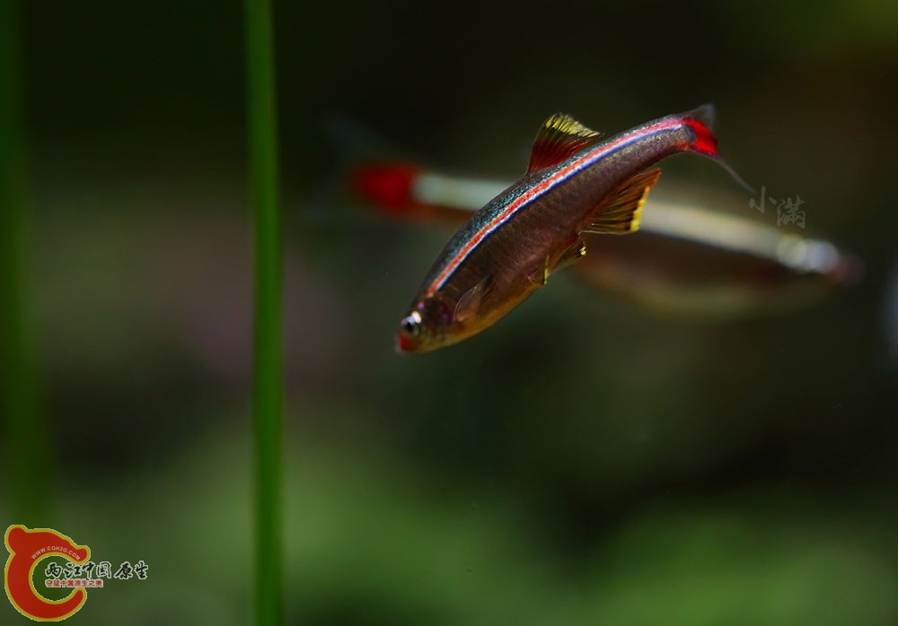 9D9A8199-x - 副本.jpg