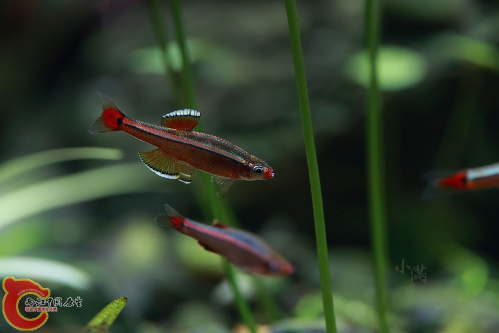 9D9A8286-x - 副本.jpg