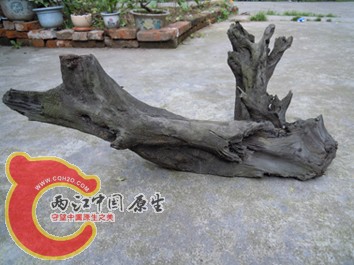 DSCN1125.jpg