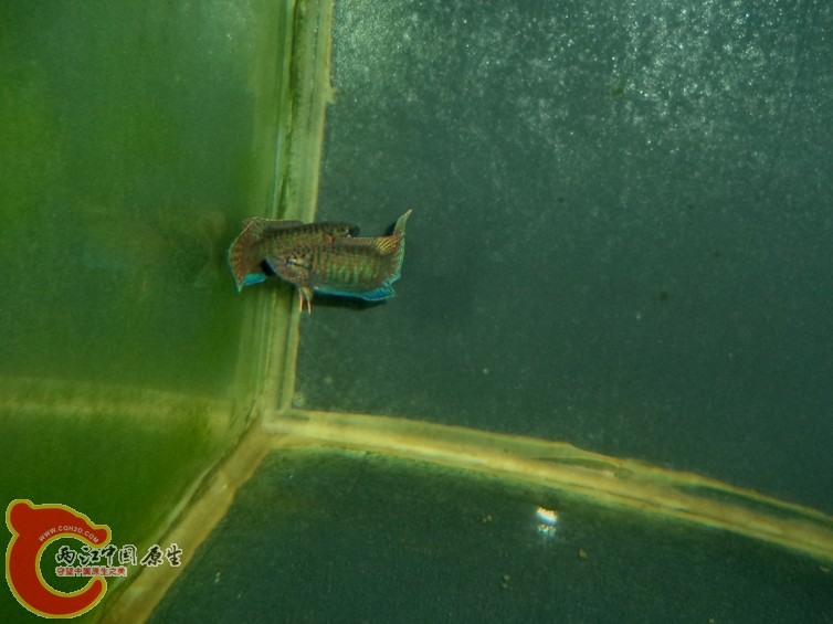 DSC03352.JPG