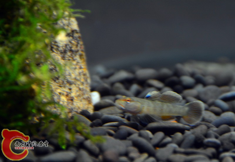 DSC_1789.JPG