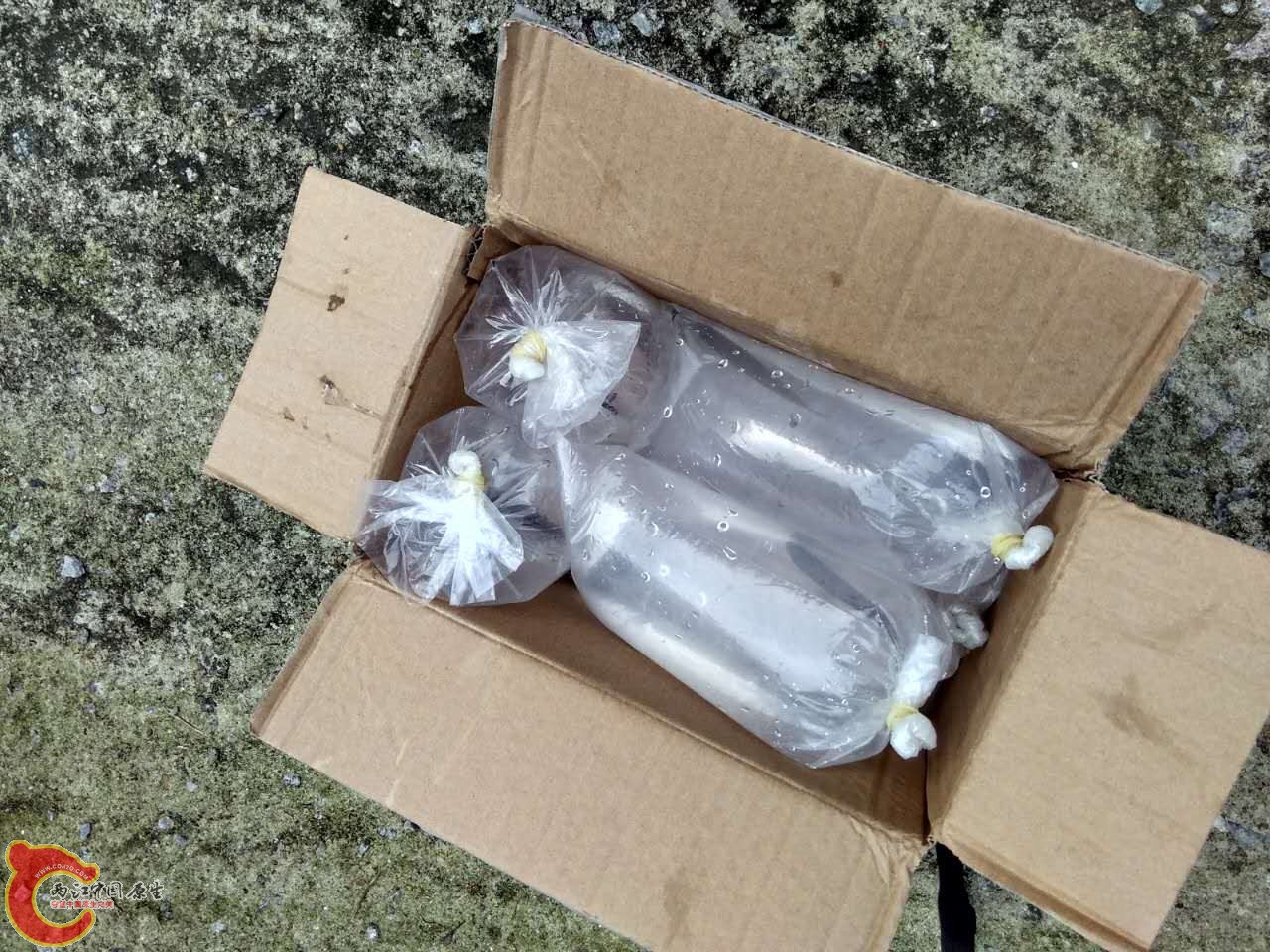 抵达目的地，环境参照我的上一篇帖子（从化某地考察），强迫症，看起来整整齐齐的特别爽