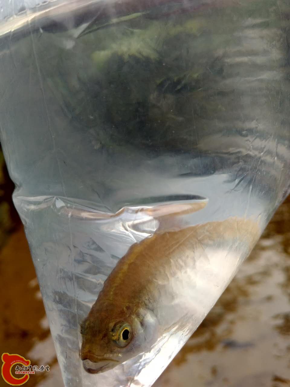 拿起来检查一下，看起来不错