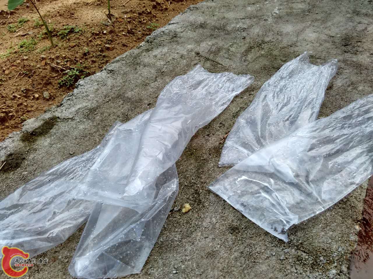 一个人操作，放一个结果图