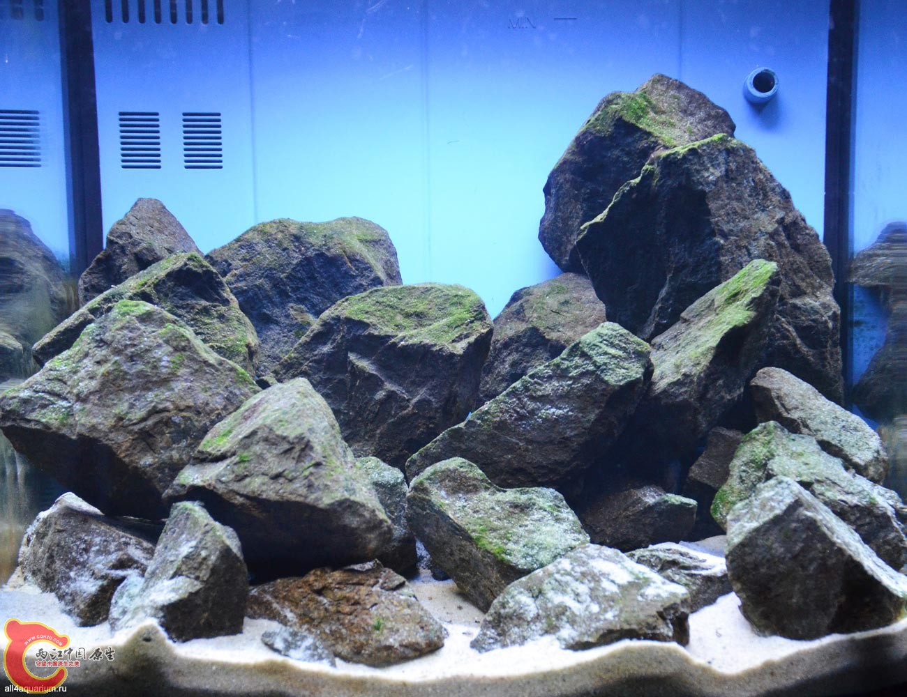 2015_biotope_aquarium_a_5_1.jpg