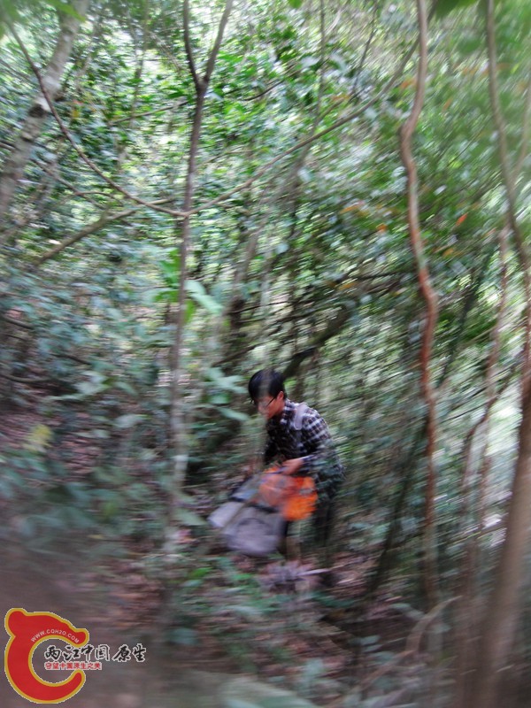 IMG_2220.jpg