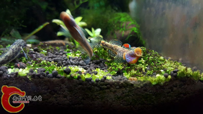 20160507_201416.jpg