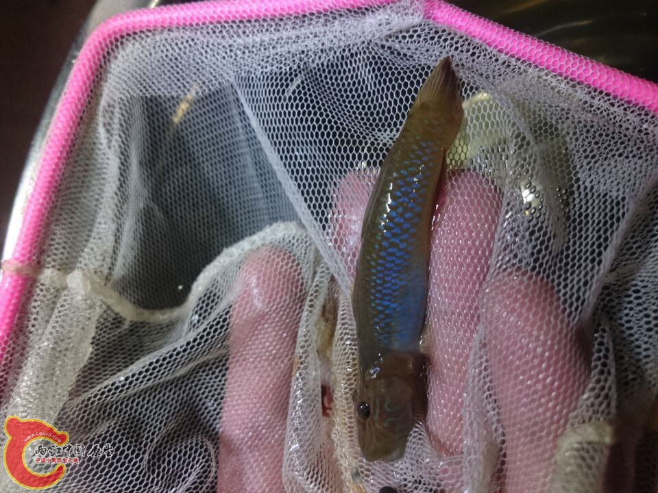 毒物.jpg