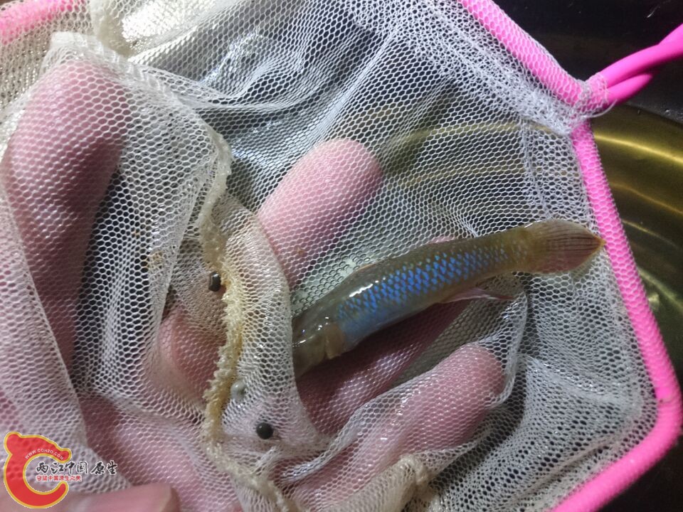 读物.jpg