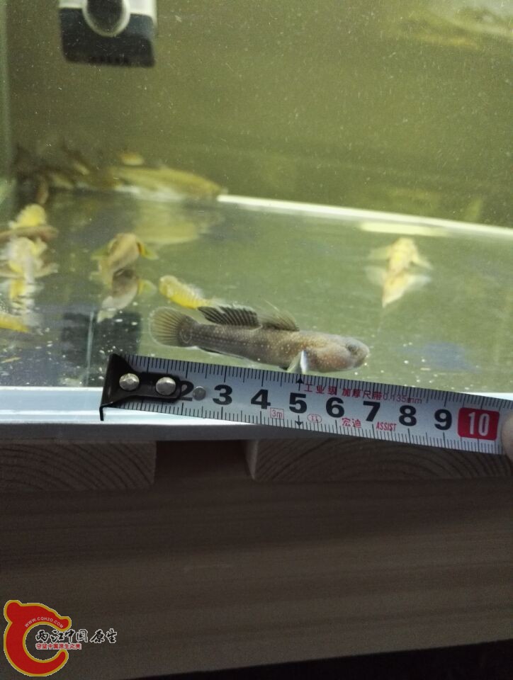 QQ图片20160512141636.jpg