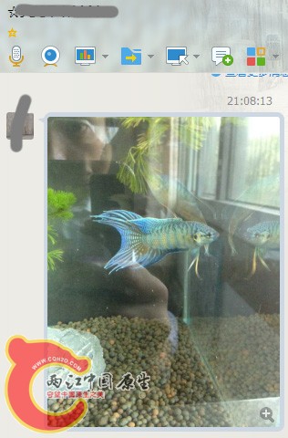 QQ图片20160512211633 副本.jpg