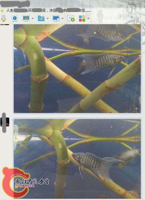 QQ图片20160513105130 副本.JPG