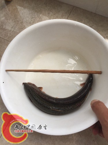 image.jpeg