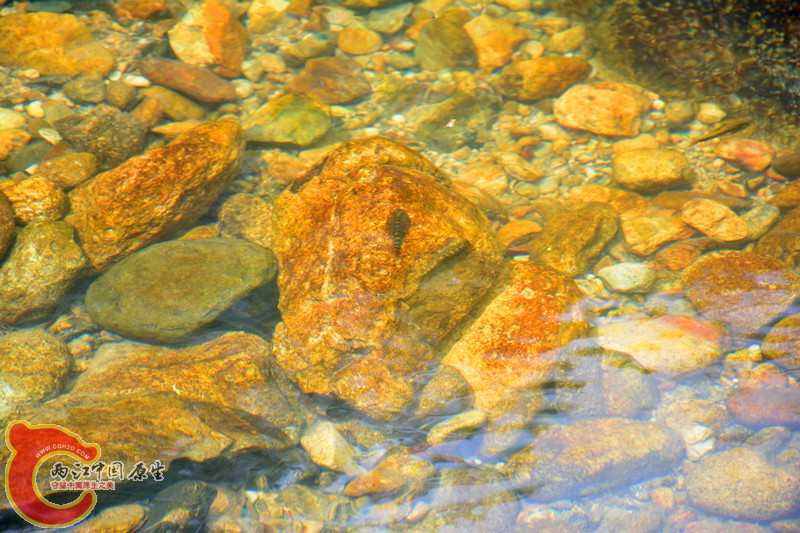 DSC_1933.JPG