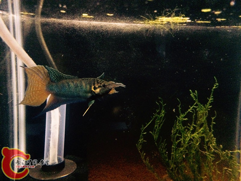 新建文件夹 (4)FullSizeRender(39)_副本.jpg