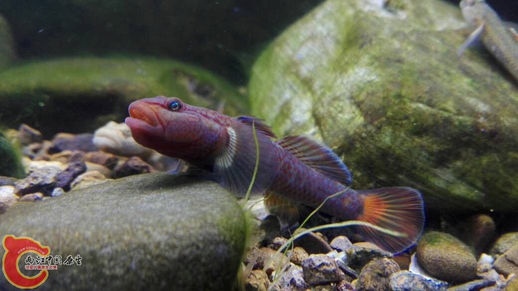 013431amkzp4qpgwxk6rkm.jpg