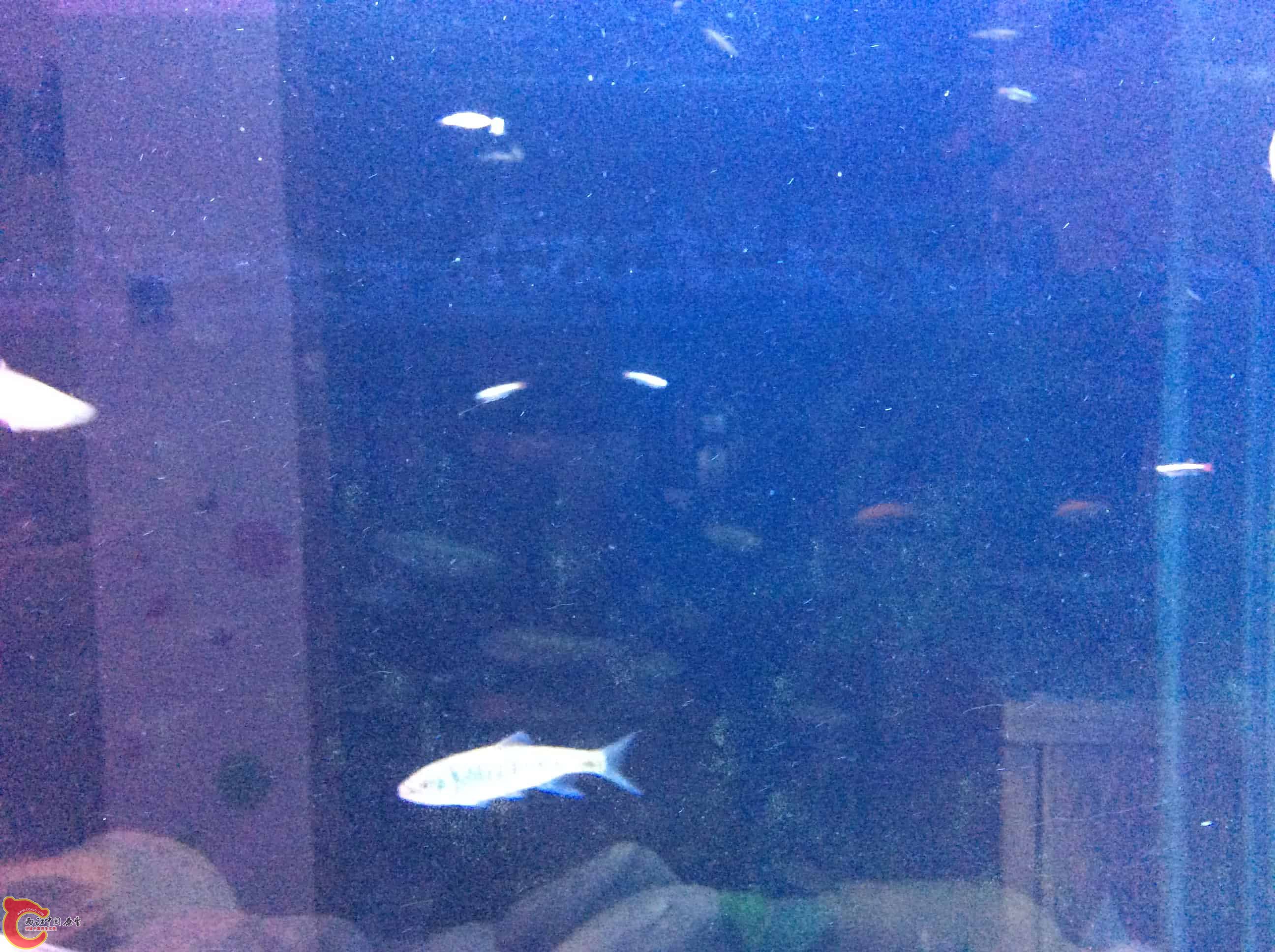 IMG_0129副本.JPG