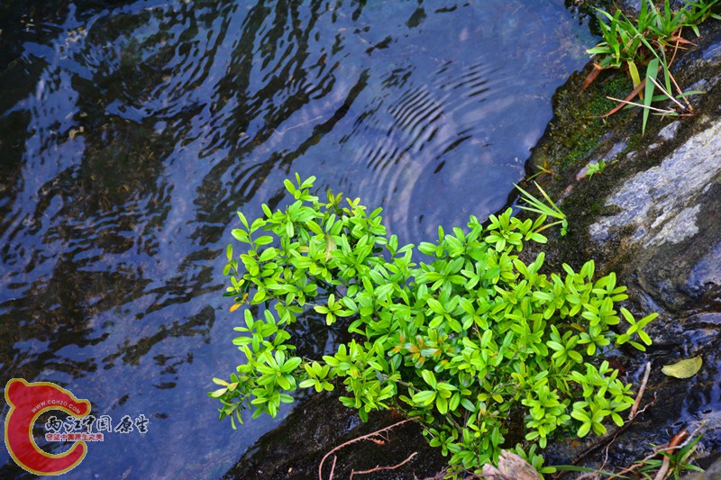 DSC_2069.JPG
