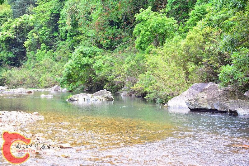 DSC_1907.JPG