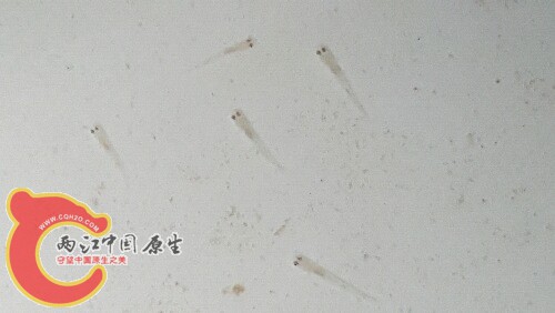 20160603_214320.jpg