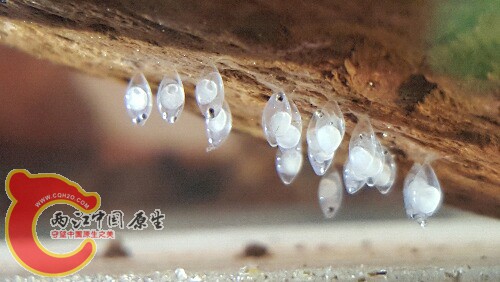 20160522_120933.jpg