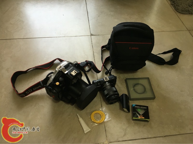 163202g7tg7pw83ttw76wv.jpg