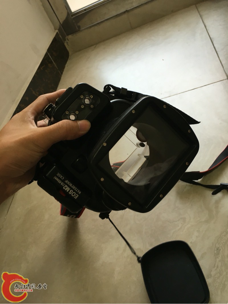 163203d5vv8jxnvwpvk5n5.jpg