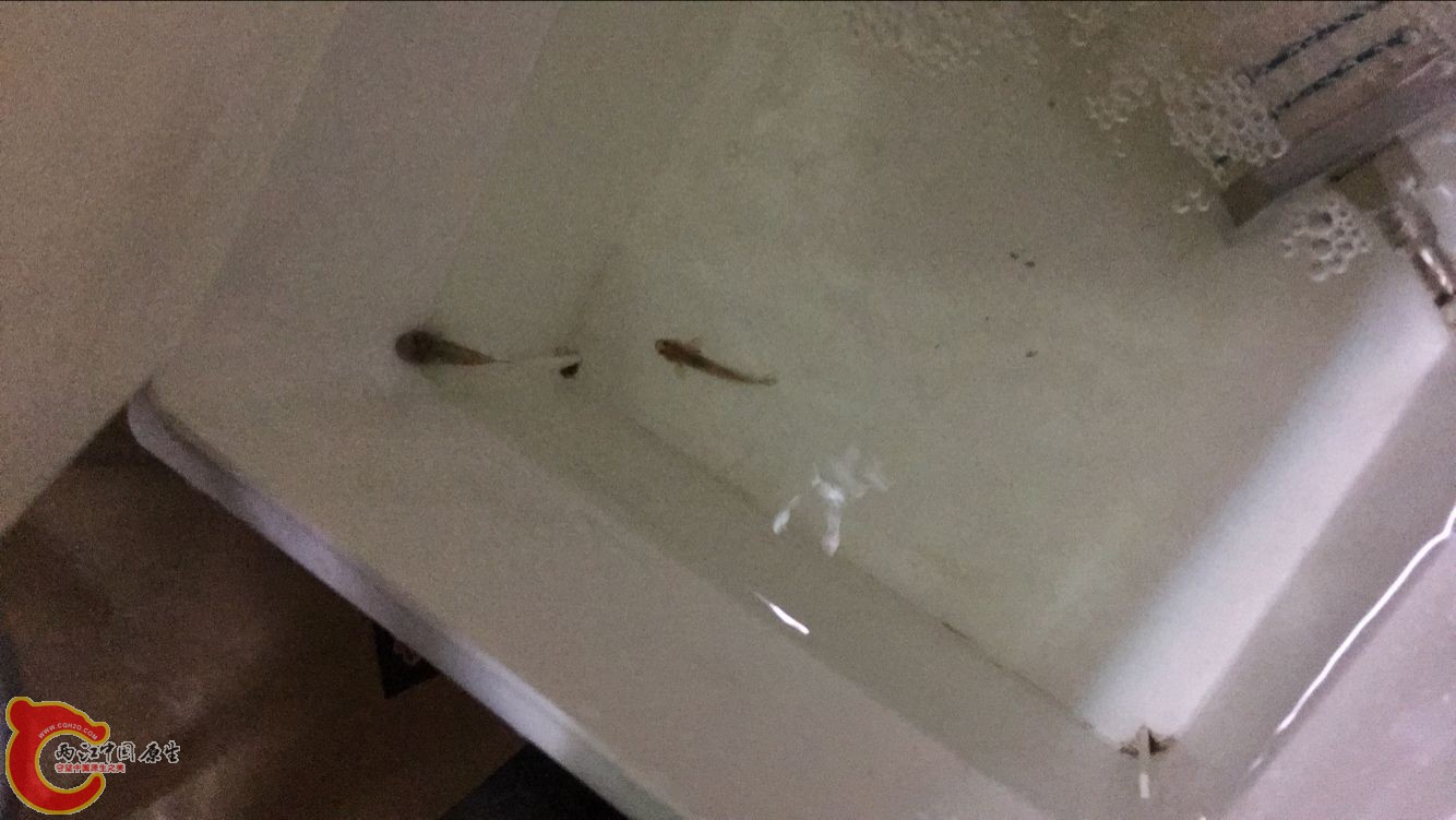 QQ图片20160614110502.jpg