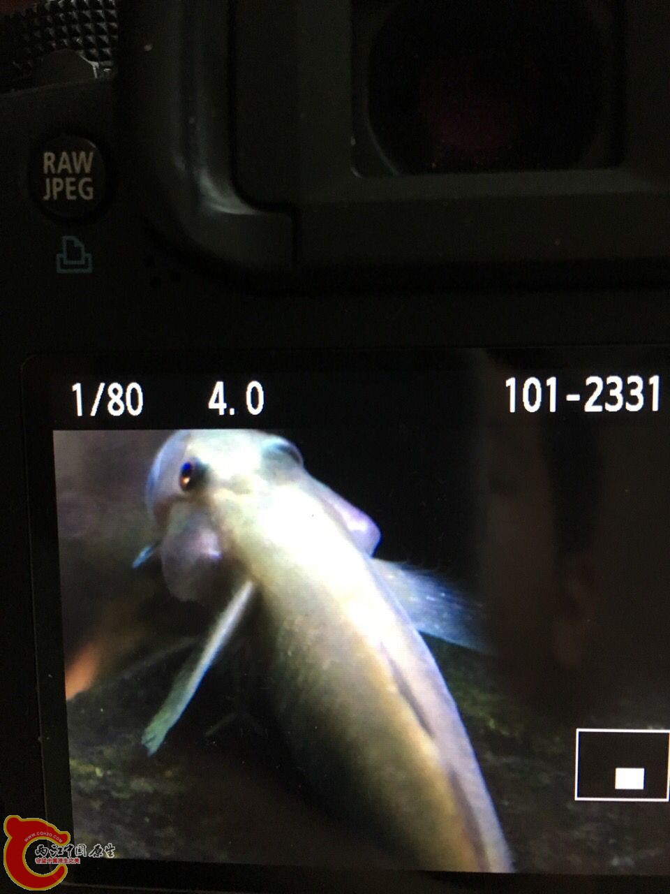 QQ图片20160614110505.jpg