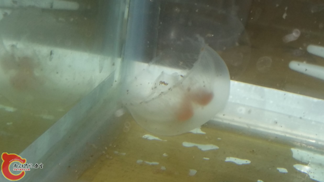 20160614_151451.jpg