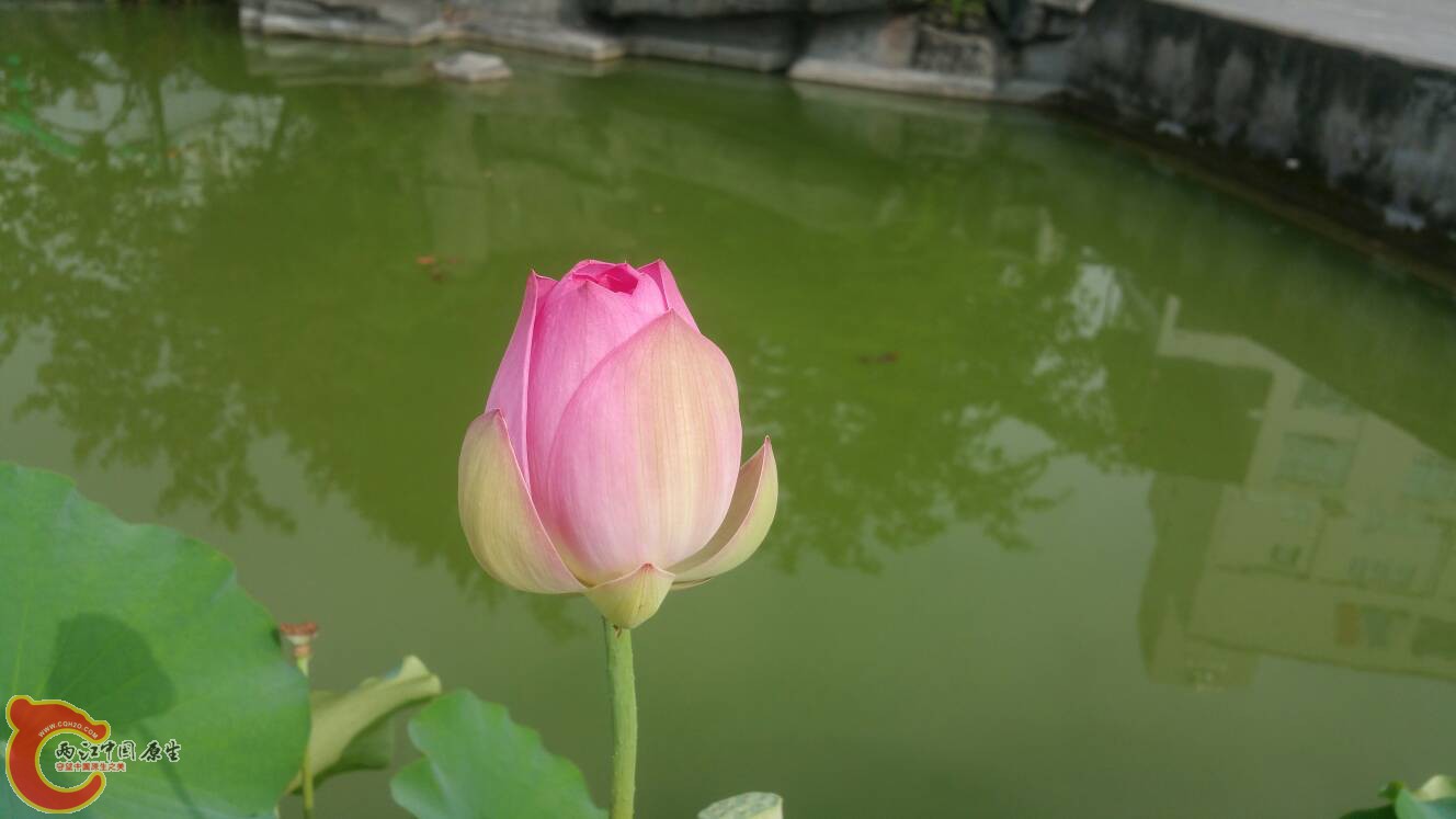 113557eik7fkt88718fglg.jpg