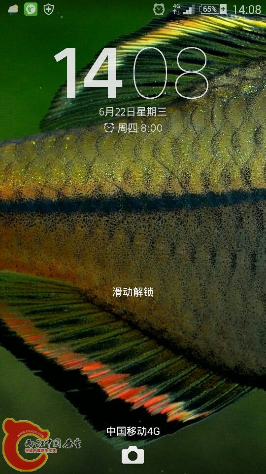 154657hpis7d88io3uv8uy.png